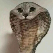 𝖂𝕰𝕰