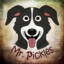 mr. pickles