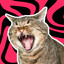 Pee Pee Meow Meow