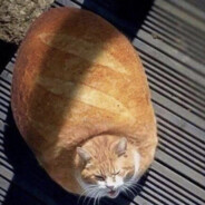 Loaf avatar