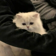 蜀山剑派邹道长