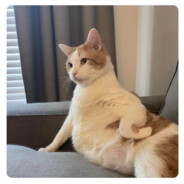 Nyanko