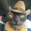Cowboy Yeehaw