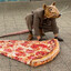 Avatar of Pizza Rat