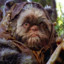 Ewok