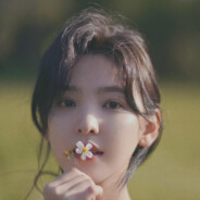 一倾风月一流年