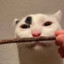 breadlikerai