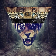 DrCeee ✯