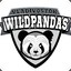 Mr. Wild Panda