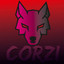 CorZi