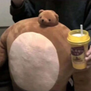 孤独独孤咕嘟噜嘟噜将