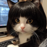 一生为公一心向党