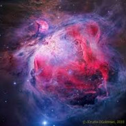 StarryAgent99 avatar
