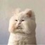 哇咔咔