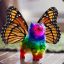 RainbowButterfly