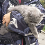 今夜月光很温柔