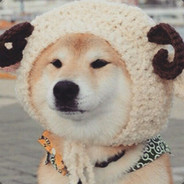 边缘ob的太阳骑士