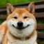 EvolvedDoge