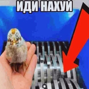 Аватар Стояковский|Трав