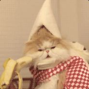stank - steam id 76561197963112110