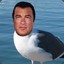 Steven Seagull ™