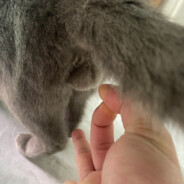 永不分手的男人