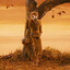 Opt&amp;Lost