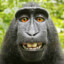 Johannes