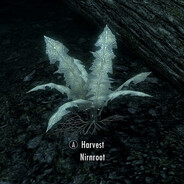 Nirnroot Steam avatar