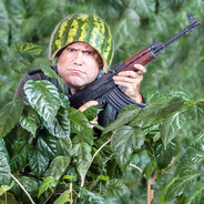 Rambo Jr