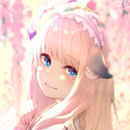 洁白 闪耀 奇迹 之花