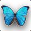 *Blue Butterfly*