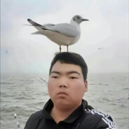 海鸥会为我停留，你呢