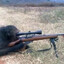 Monky With A Gun