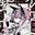 Lycoris