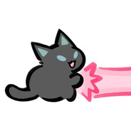 ≽^•⩊•^≼