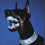 WiTnes$'s avatar