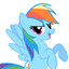 rainbow dash