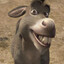BURRO DO SHREK