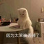 士多啤梨