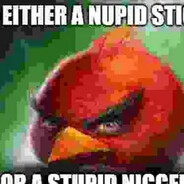 nupid stigger