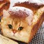 Catbread