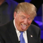 Recapture the United States