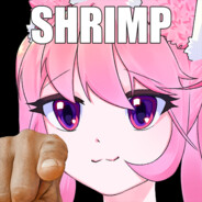 Shrimp