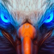 [SiG] Eagle