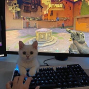 sors222 Steam avatar
