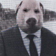 Pork