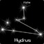 Hydrus