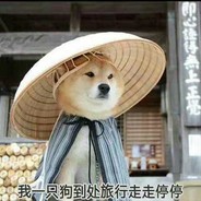 我拿真心对明月