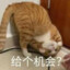 狗熊岭第一狙击手·熊大